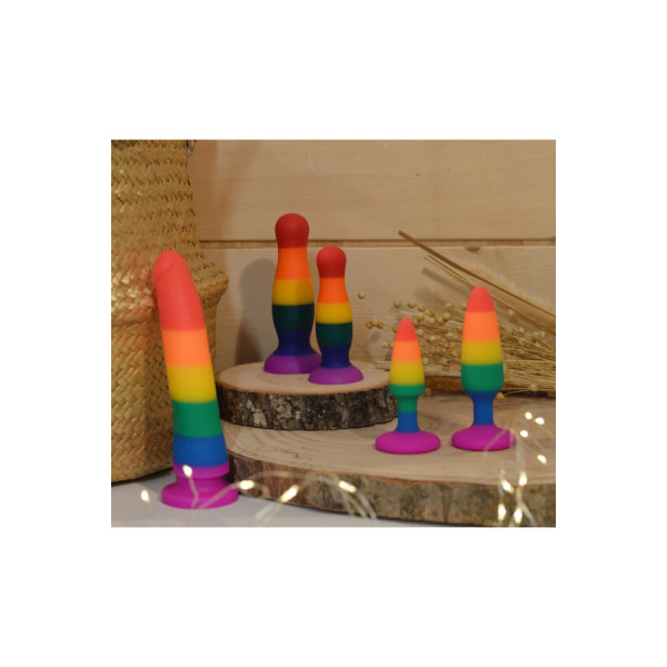Plug anal multicouleur taille M 
